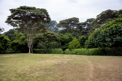 公交车被后入 公交车被后入