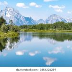 私密网站入口 mfeets